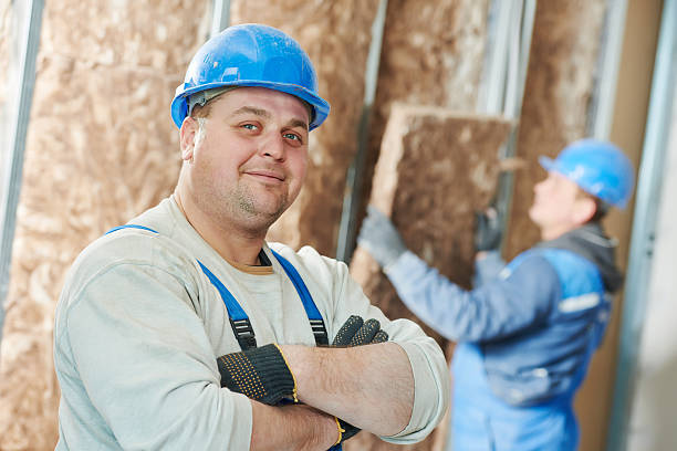 Best Insulation Maintenance and Repair in Anniston, AL