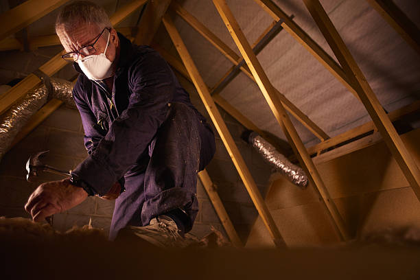 Best Insulation Materials and Products in Anniston, AL